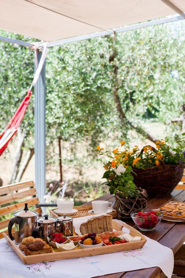 Agriturismo Fontetrilla Orbetello Ngoại thất bức ảnh